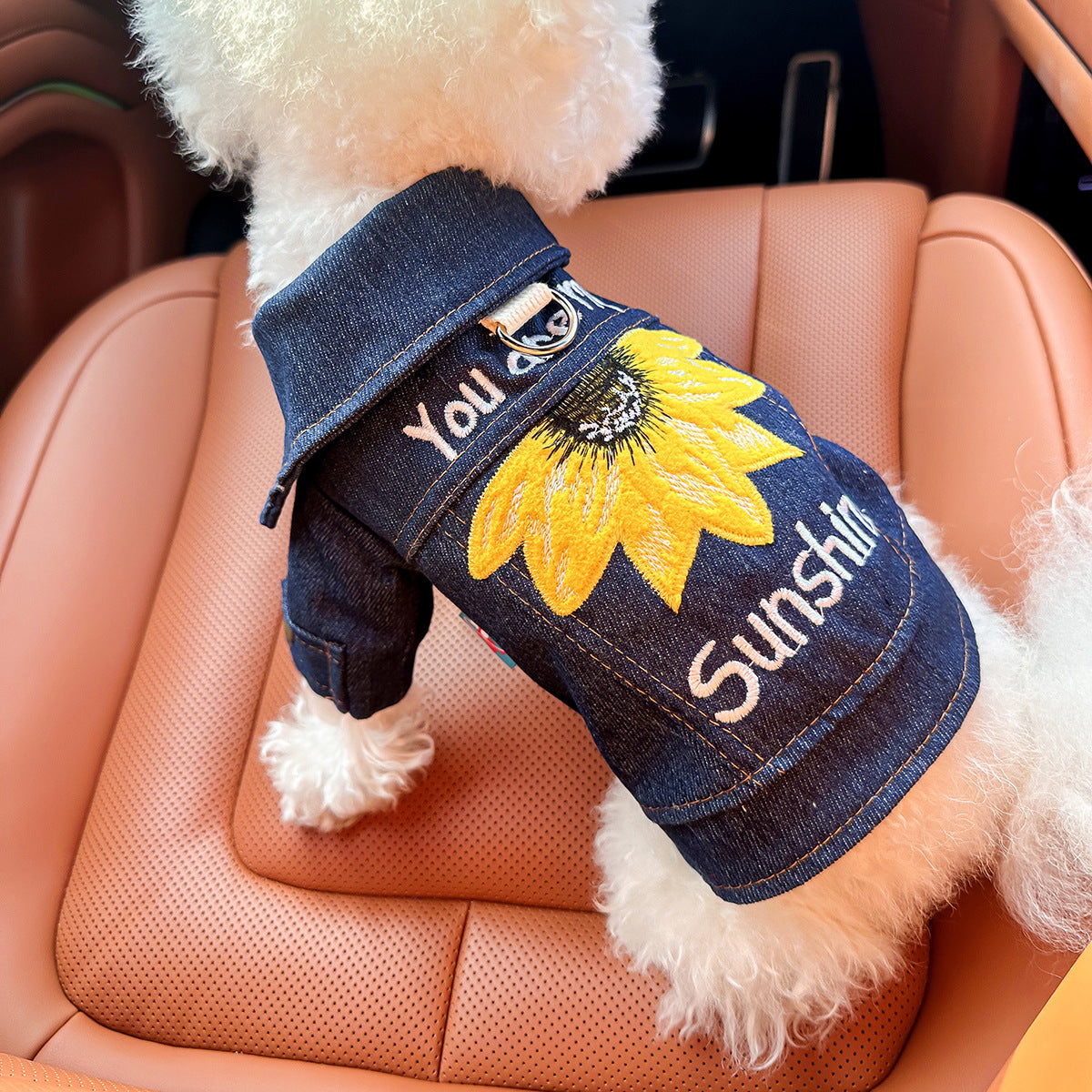 Sunny Denim Two-leg Dog Clothes