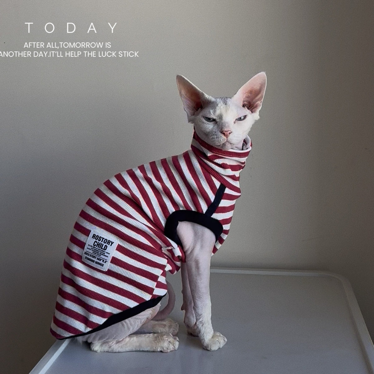 Sphynx Cat Spring Sleeveless Shirt Red And White Striped Fashion Clothes For Hairless Cats Devon Rex