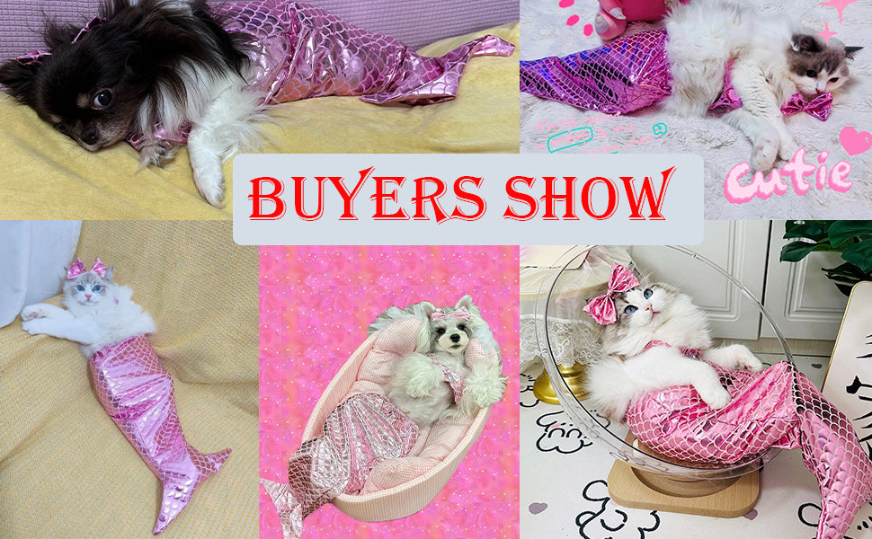 Cat Mermaid Costume Creative Cat And Dog Costumes Funny Cat Mermaid Costume Cat Mermaid Fishtail Dress Puppy Mermaid Fishtail Dress Pet Mermaid Costume Humor Funny Photo Props