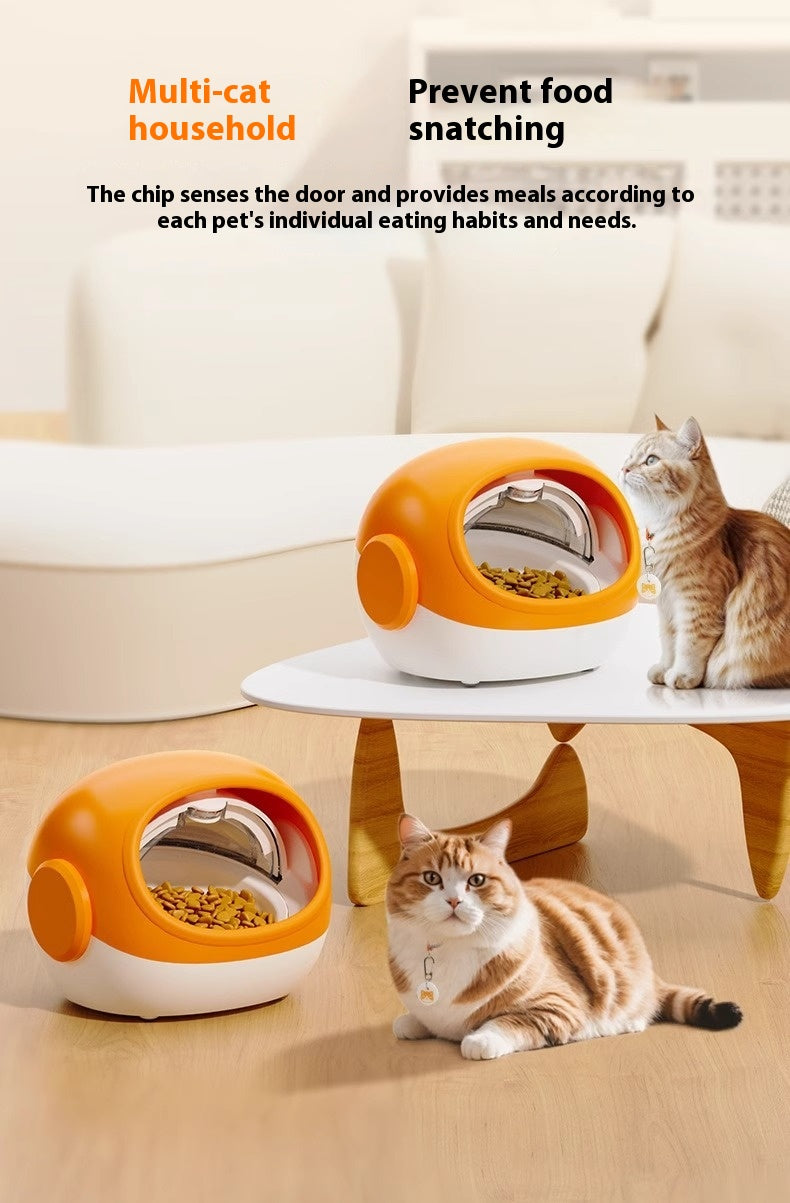 Smart Automatic Cat Chip Feeder With Lid Timed Schedule Feedings