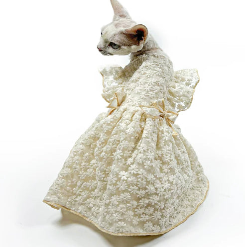 Sphynx Cat Princess Dress Embroidered Luxury Clothes For Hairless Cats