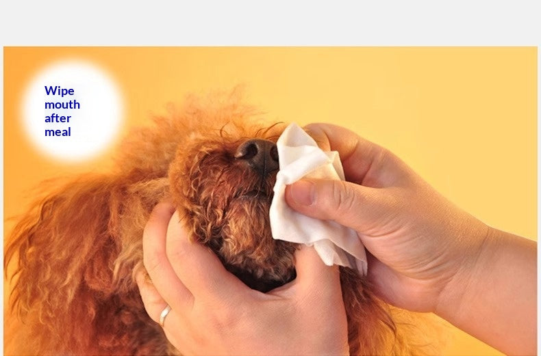 Pet Odor-removing Wet Wipes For Cats And Dogs