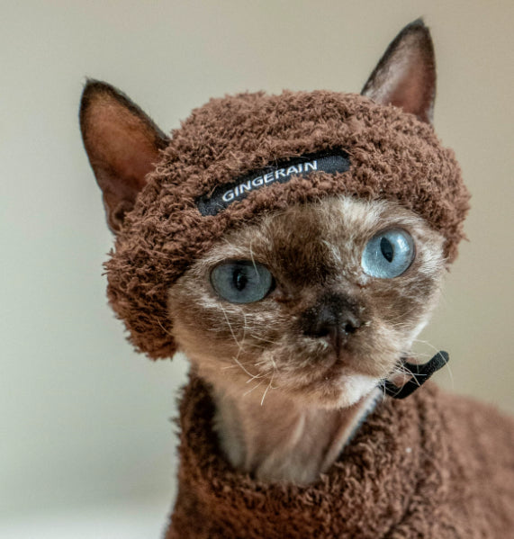 Winter Warm Pet Hat Plush Headwear