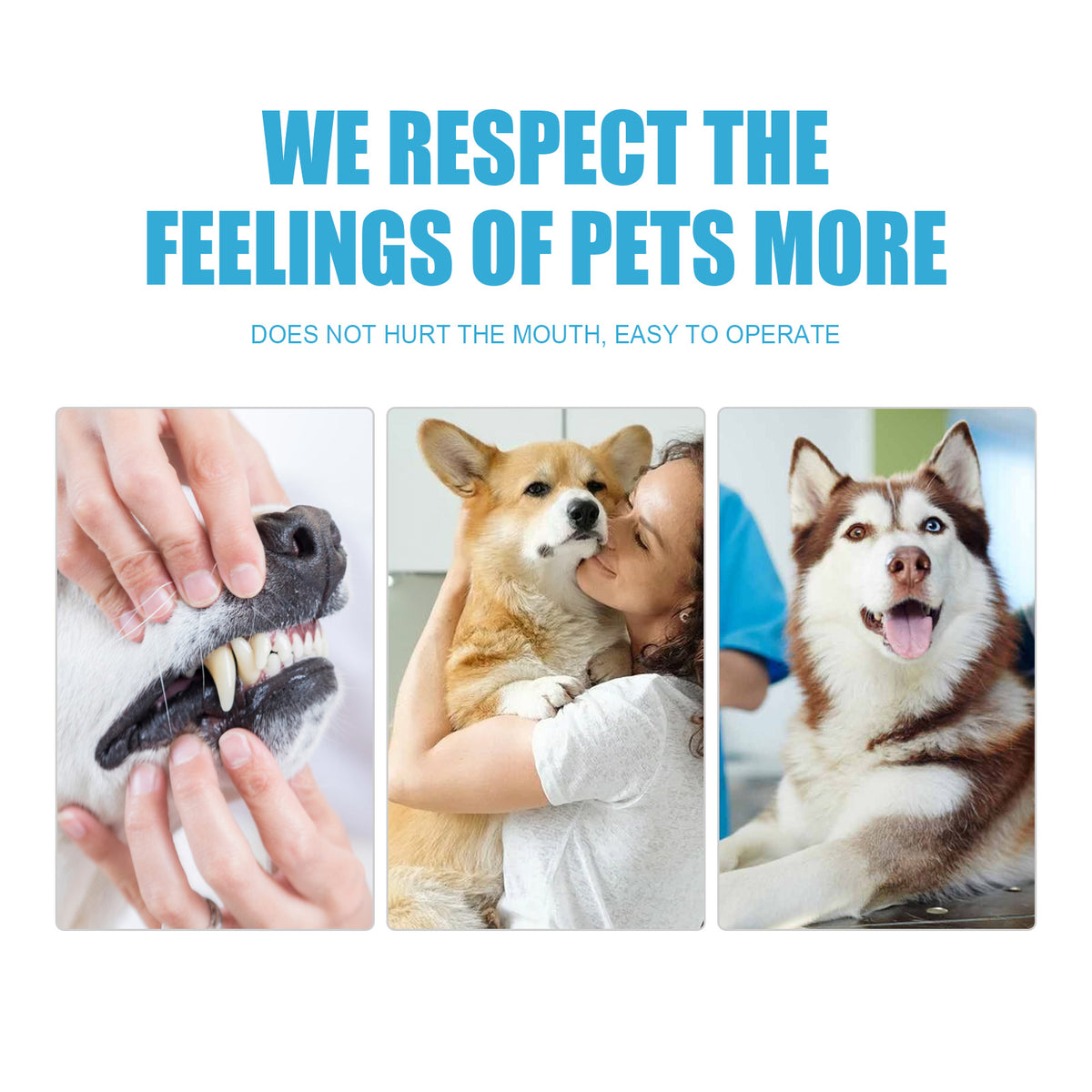 Pet Toothpaste 60g 1box