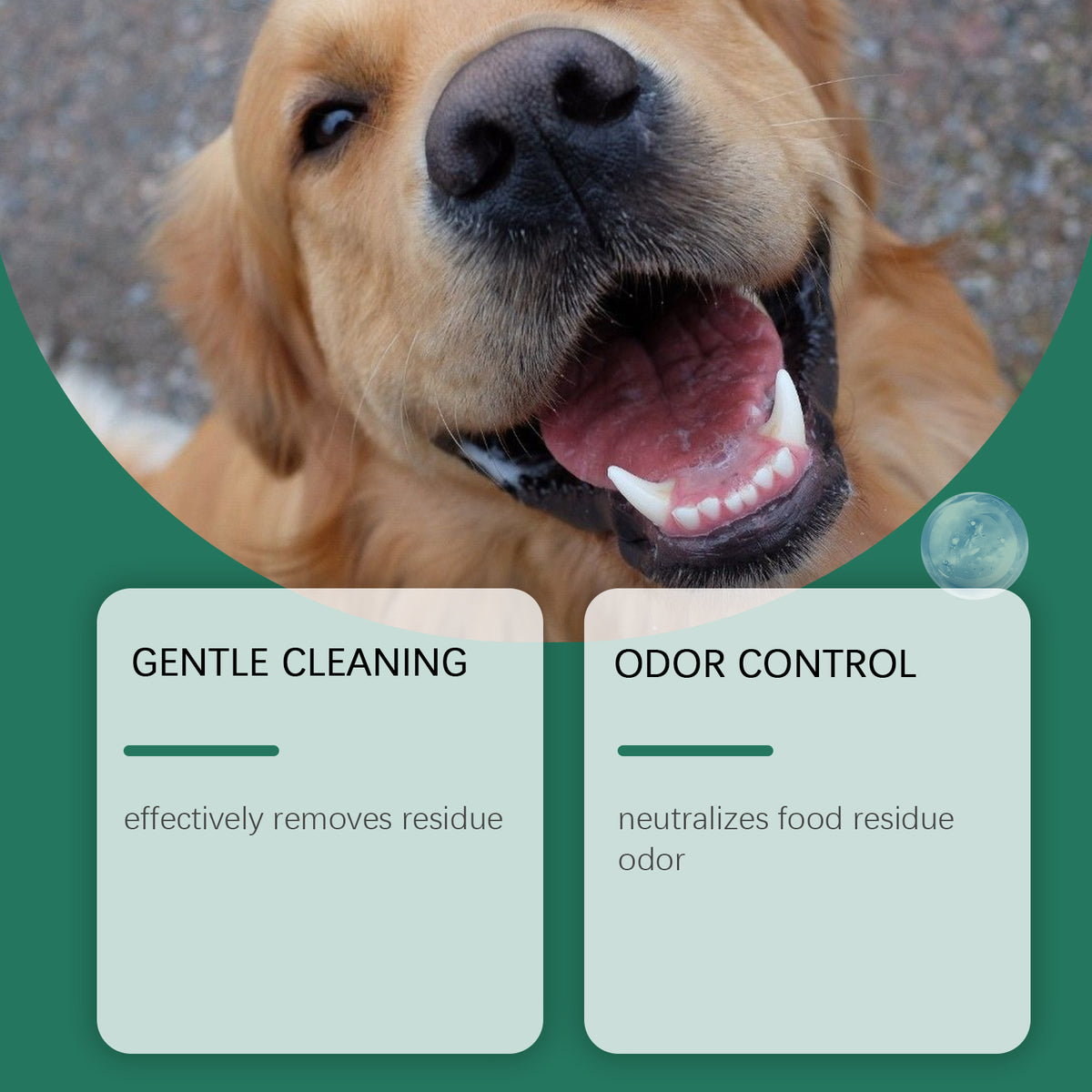 Dog Tooth Cleaning Powder