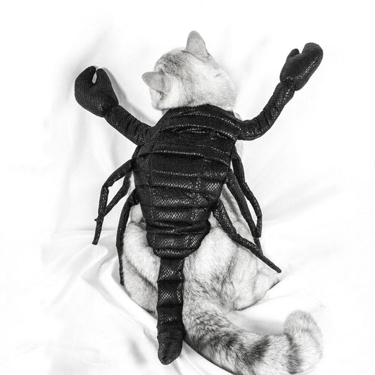 Sale in Europe and America New Pet Clothes Halloween Scorpion Pet Costume Cat Party Funny