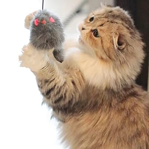 Interactive Cat Feather Toys Retractable Teaser Toy Hanging Interactive Toys For Indoor Cats Kitten Play Chase Exercise Kitten Mental Exercise Toys