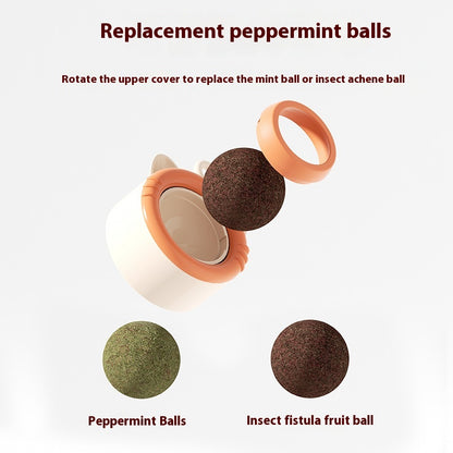Cat Molar Catnip Gall Fruit Pet Toy