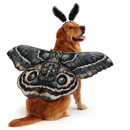 Pet Dog Felt Butterfly Wing Hairband Decoration