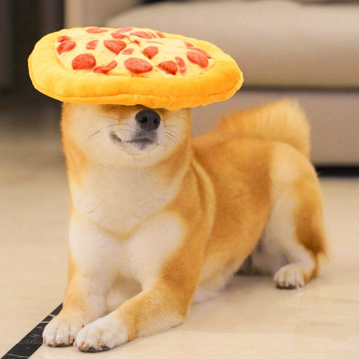 Pet Teddy Toy Pizza Grinding Teeth Squeaky Durable Dog Chewing Toy Interactive Supplies