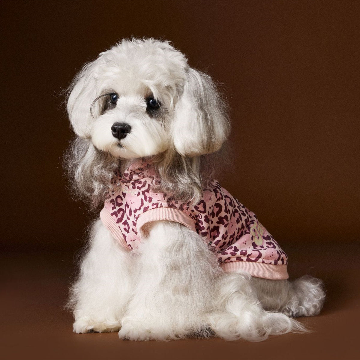 Bichon Schnauzer Yorkshire Handsome Leopard Print Hooded Sleeveless Sweater - Pet Clothing