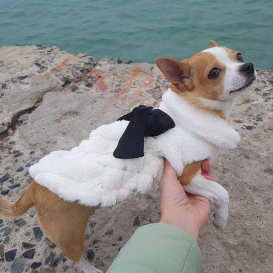Elegant bow plush coat dog clothes Bomei Teddy clothes spring and autumn wear breathable pet clothes