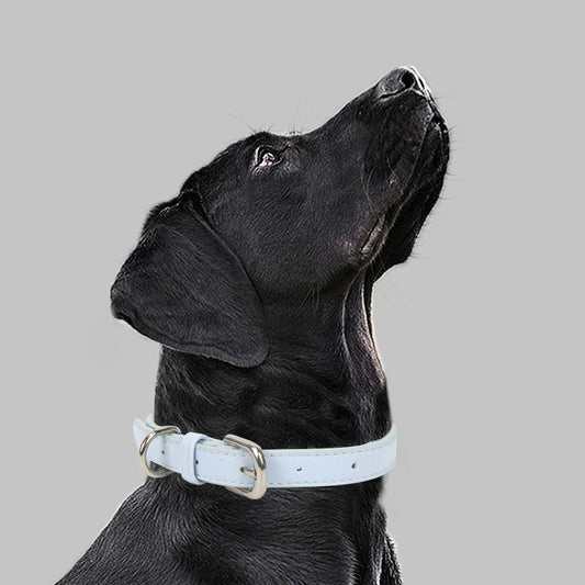 Leather Pet Collar For Small To Medium-sized Dogs With A Pull Rope