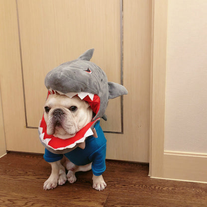 Take a Photo Into a Hat - Pet Clothing