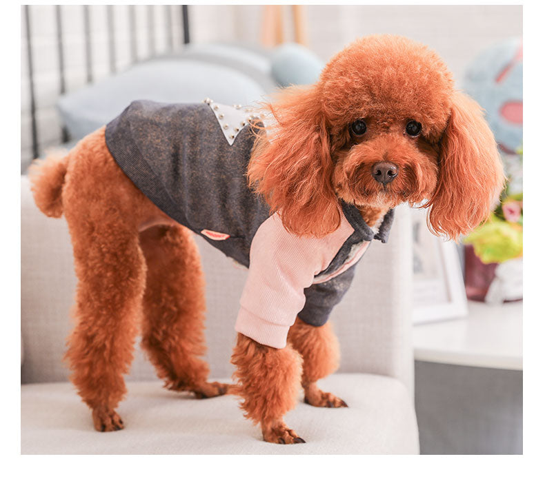 Small dog clothes cotton coat