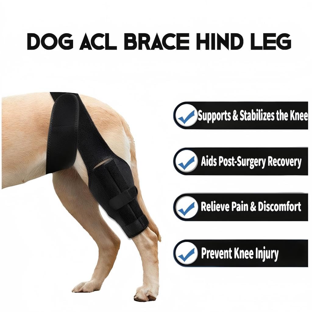 Dog Knee Brace For Torn ACL Hind Leg, Comfortable And Adjustable Support Brace With Two Stabilizer, Dog Leg Braces For Back Leg With Extra Support, Arthritis Relief And Surgery Recovery