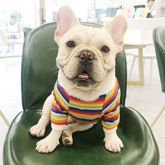 Trendy Brand Dog Clothes Pet Clothes Stretch Cotton