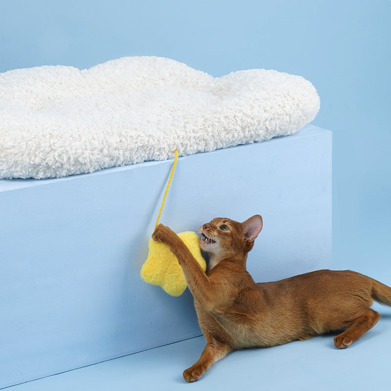 Cloud Mat, Pet Sleeping Mat, Cat Mat