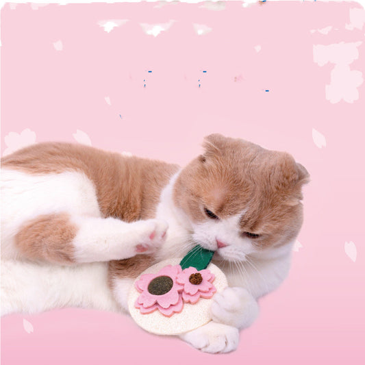 Sakura Fruit Cat Mutian Polygonum Teething Stick Catnip Kitten Teeth Cleaning Toy