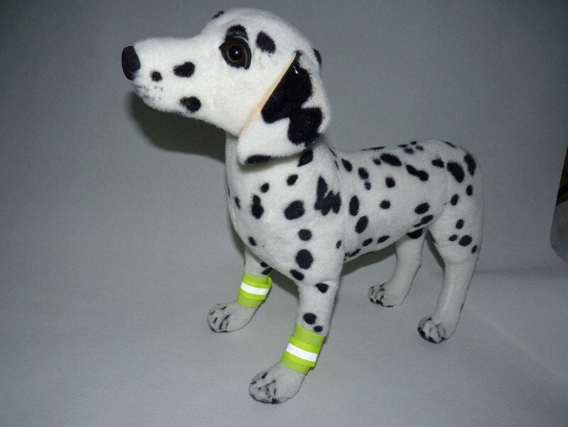 Puppy fluorescent foot cover