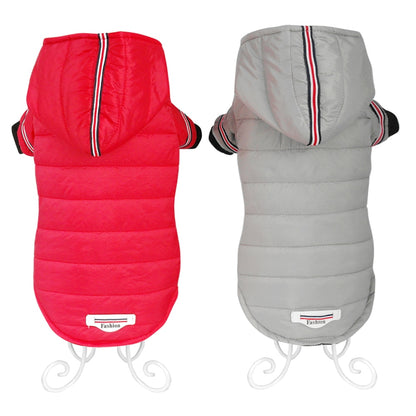 Pet clothes, autumn and winter cotton jacket, small dog
