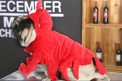 Halloween clothes red Aussie dragon pet clothes