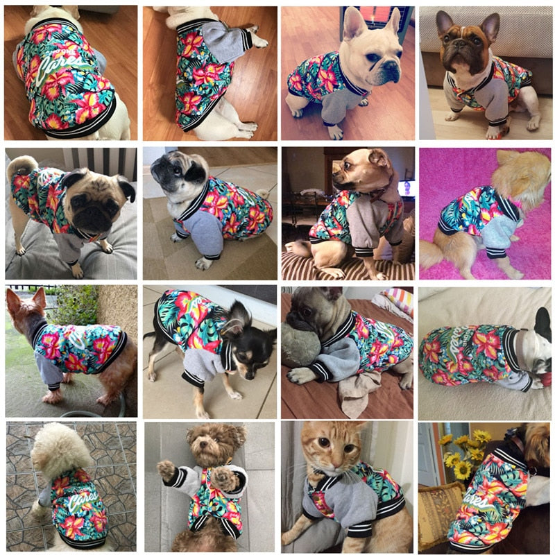 Pitbull Pet Dog Clothes Stretch Printed Two-legged Clothes