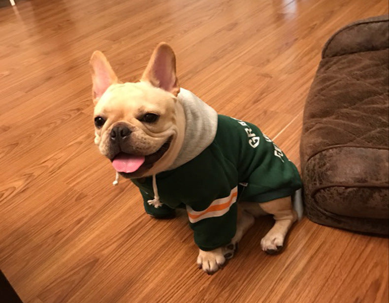 Pet sweater