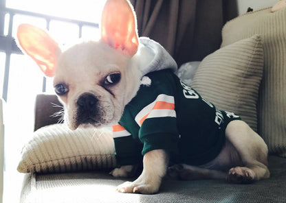 Pet sweater