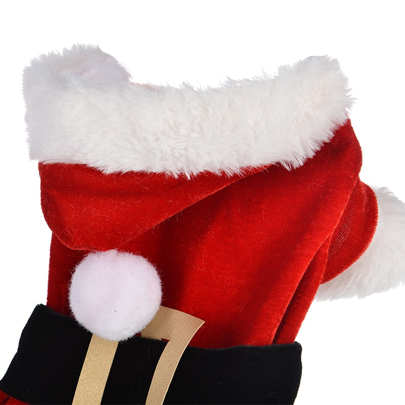 Dog Christmas costume