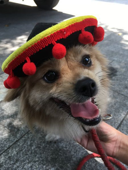 New Sales Pet Supplies Hot Dog Hats