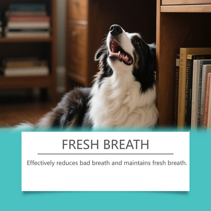 Pet Mint Oral Spray