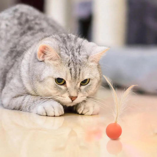 Cat and Dog Toy Bouncy Ball Jumping Ball Interactive Funny Cat Colorful High Elastic Pet Toy