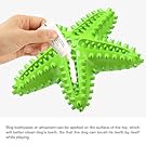 Sounding Starfish  The Natural Toothbrush For Small And Medium Dogs Starfish Natural Tooth Brush Teeth Cleaning