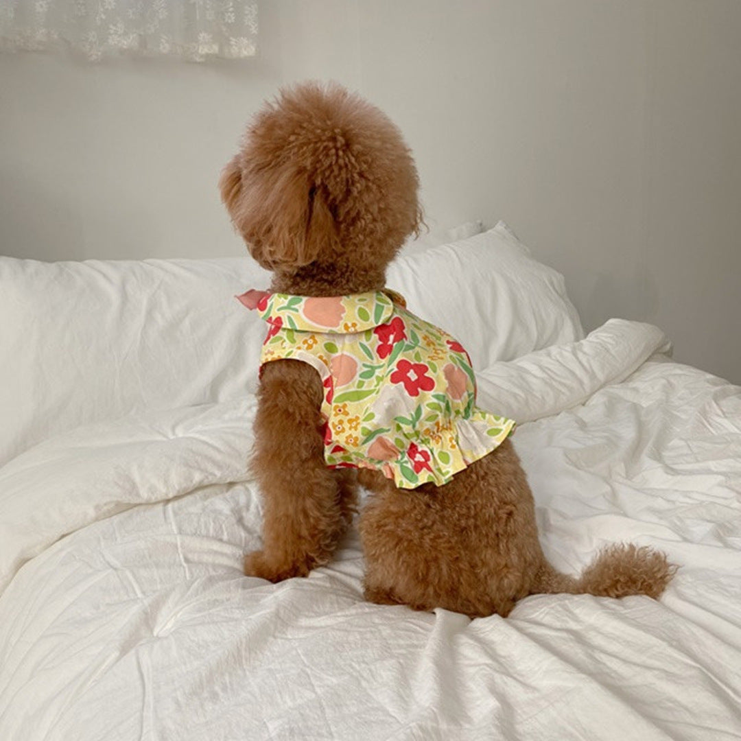 Bear Teddy Dog Skirt Pet Cat Clothes