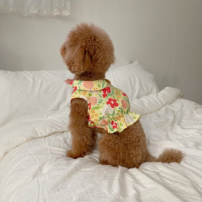 Bear Teddy Dog Skirt Pet Cat Clothes