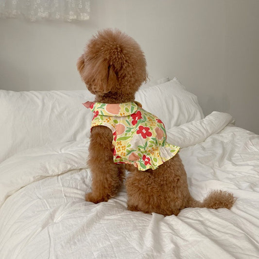 Bear Teddy Dog Skirt Pet Cat Clothes