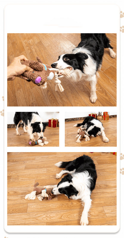 Dog Plush Shell Shape Containing Sound Paper Bb Called Bite-Resistant Molar Pet Toy Interactive Large Dog Puppy Pet Supplies