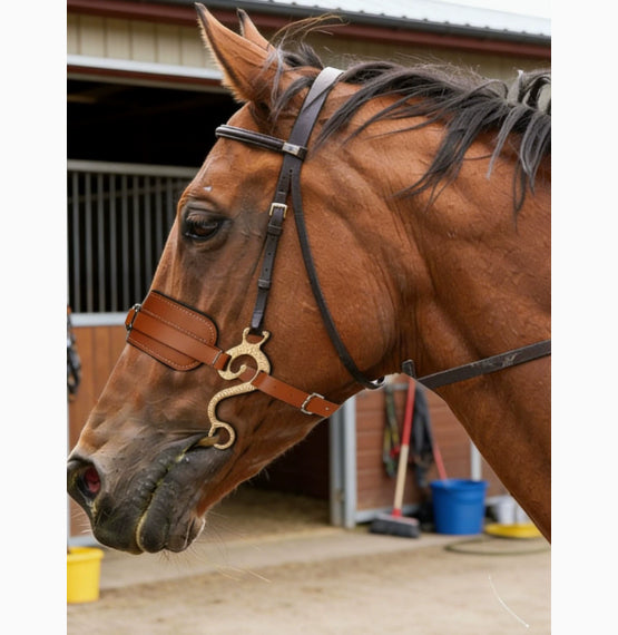 Horse Training Halter Horse Equipment Leather Horse Bridle Durable Equestrian Gear Equestrian Supplies