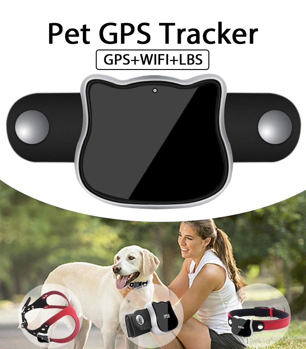 Smart GPS Location Pet Tracker Collar And Harness Set For Cats And Small Dogs
