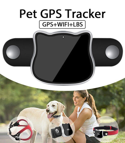 Smart GPS Location Pet Tracker Collar And Harness Set For Cats And Small Dogs