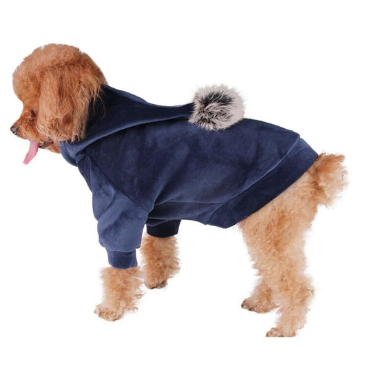 Dog Clothes