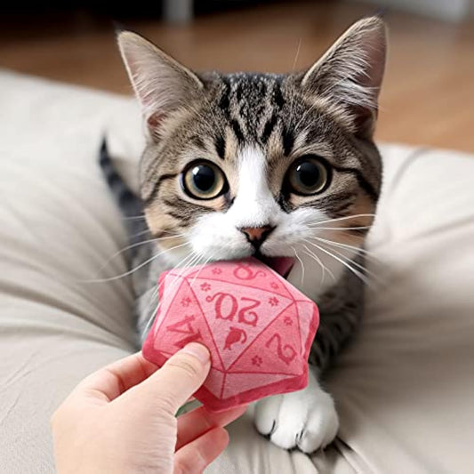 Dice Catnip Toy DND Interactive Cat Toy for Role Playing Tabletop Game Soft Plush Catmint Kitten Teething Chew Pet...