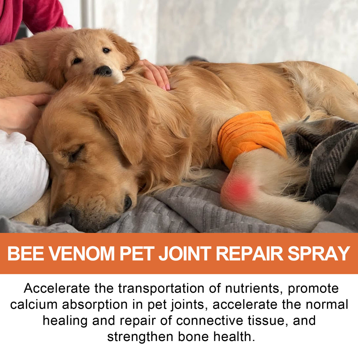 Pet Joint Repair Spray Care With Bee Venom Extract For Arthritis Discomfort Pain Swelling Relief For Cats And Dogs