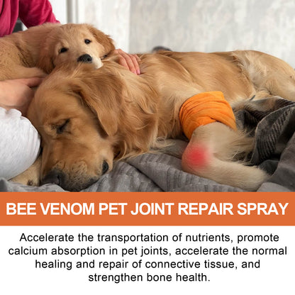 Pet Joint Repair Spray Care With Bee Venom Extract For Arthritis Discomfort Pain Swelling Relief For Cats And Dogs