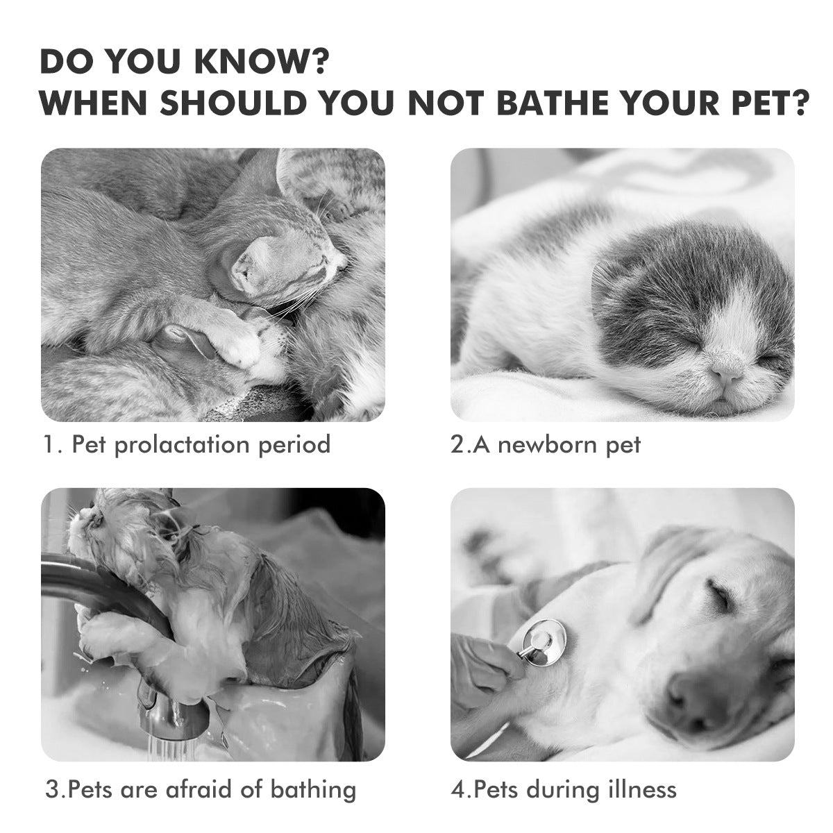 Pet Disposable Foam Magic Lint Brush Floating Hair Cleaner Pet Comb