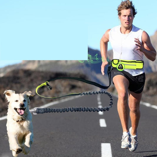 Hands-Free Dog Running Leash - Padded Waist Belt & Bungee Lead