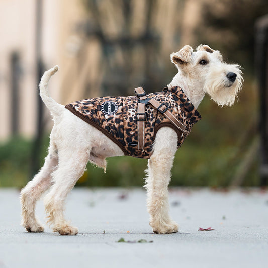 Clothes Chest And Back Integrated With Traction Rope Pet Clothing