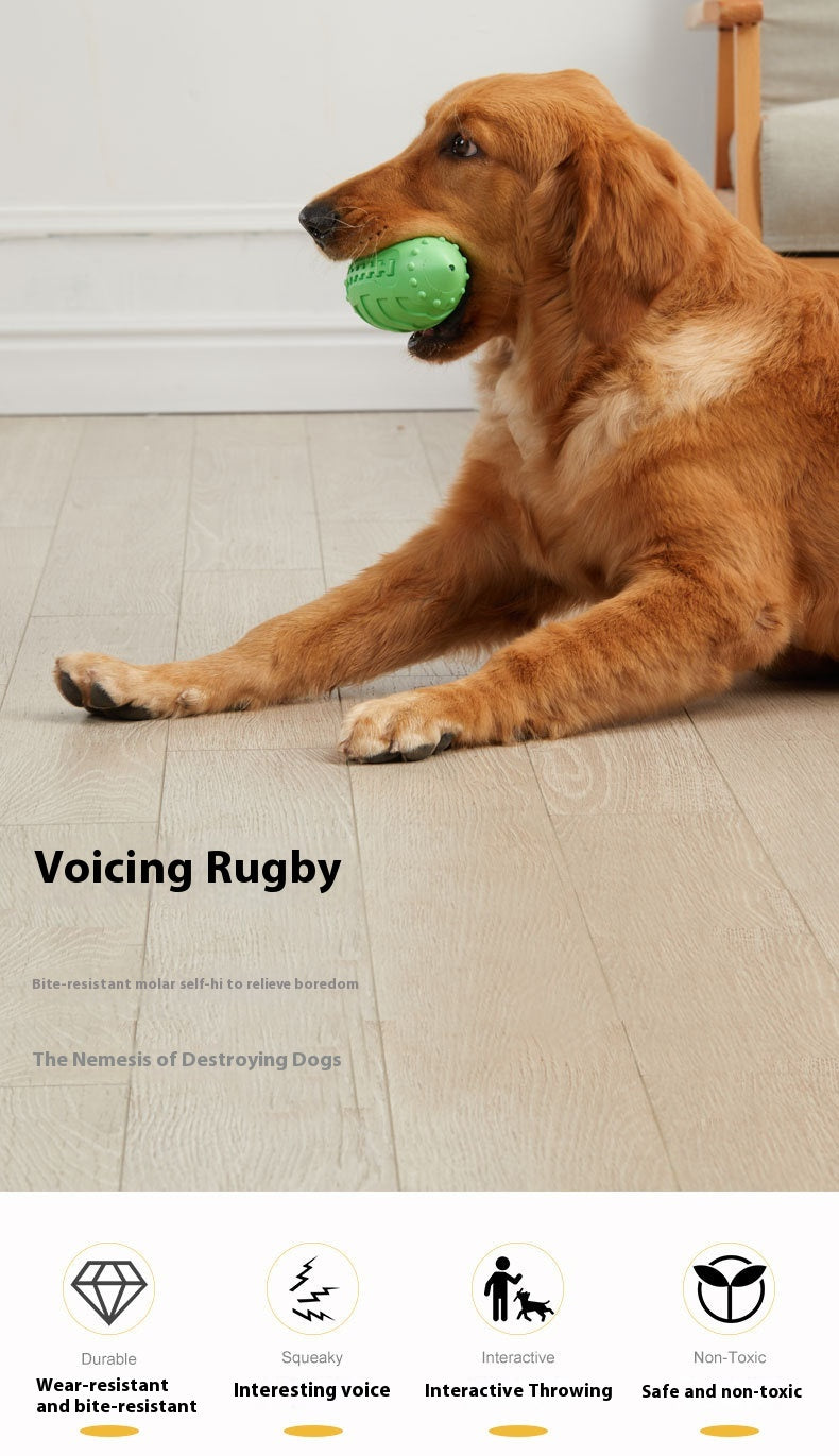 Bite-resistant Teeth Cleaning Interactive Training Ball Vocal Rugby Toy