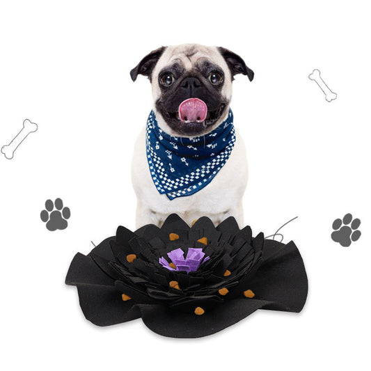 Pet sniffing pad